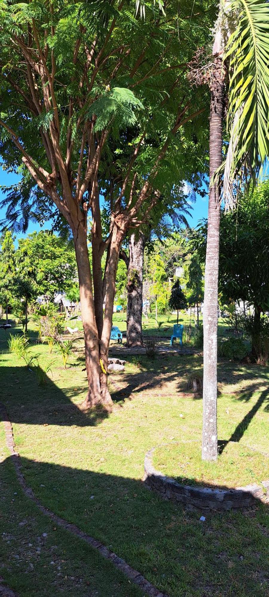 Nirvana Bungalow's Lodge *