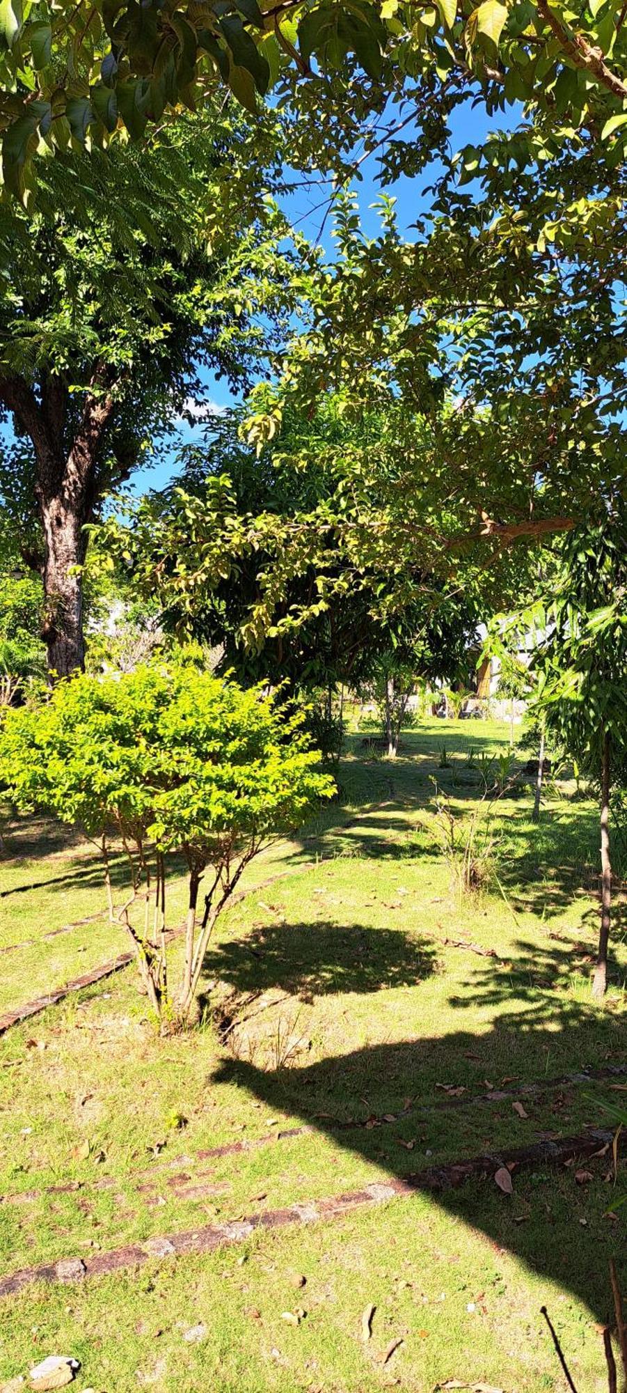 Nirvana Bungalow's Boras